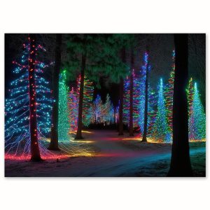 EDV-1335 | PROMENADE HAUTE EN COULEUR